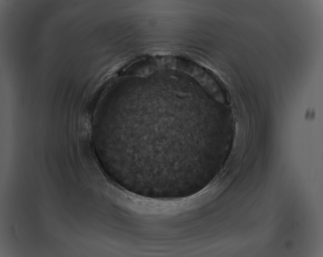 X0000096690048200802051357