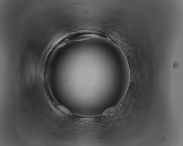 X0000096690050200802051356