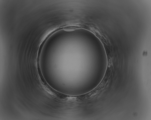 X0000096690052200802051356