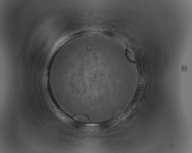 X0000096690053200802051356