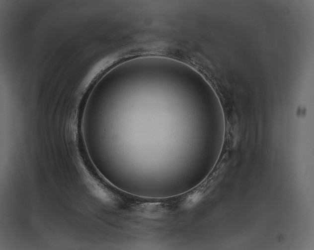 X0000096690054200802051356