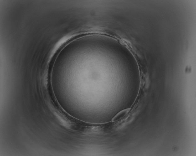 X0000096690056200802051356