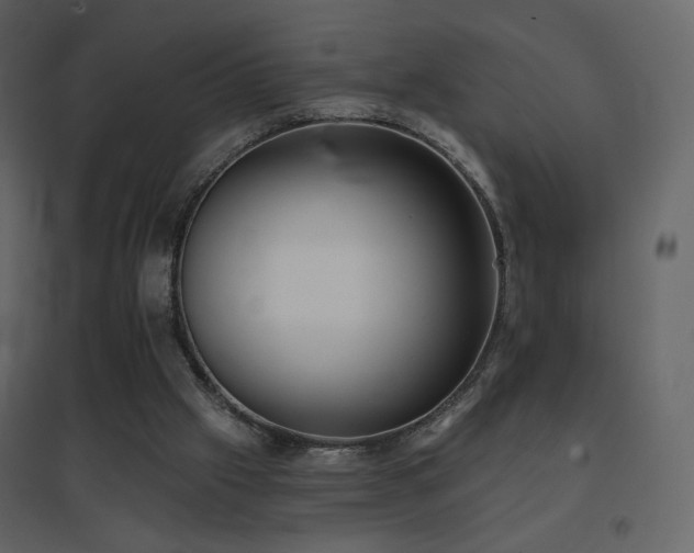 X0000096690057200802051356