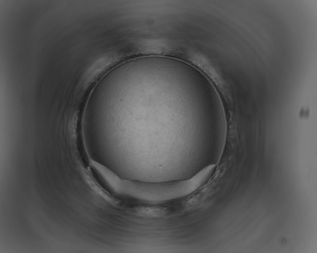 X0000096690058200802051356