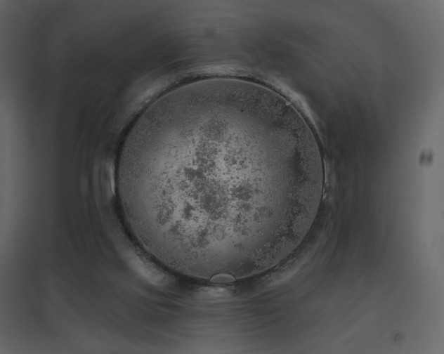 X0000096690061200802051356