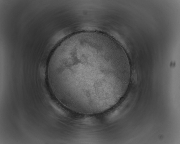 X0000096690063200802051356