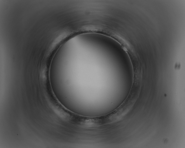 X0000096690064200802051356