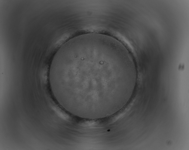 X0000096690065200802051357