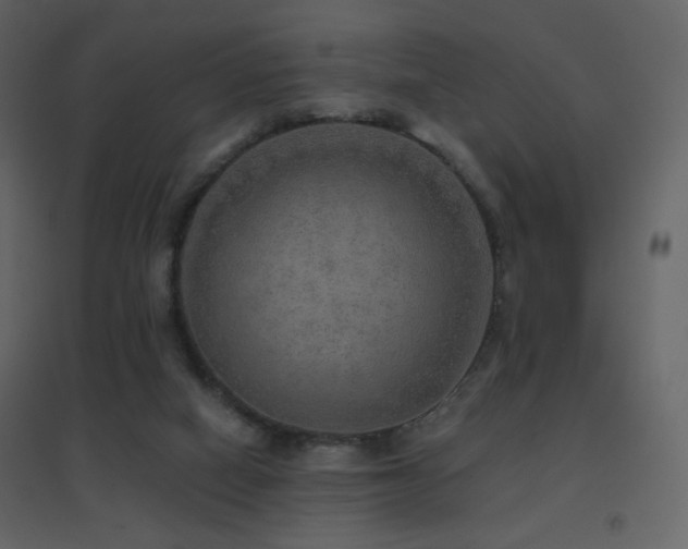 X0000096690066200802051357