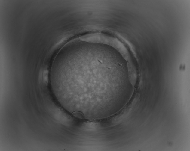 X0000096690067200802051357