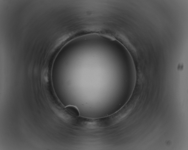 X0000096690068200802051357