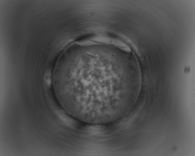 X0000096690069200802051357