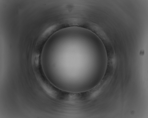 X0000096690070200802051357