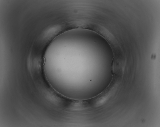 X0000096690072200802051357