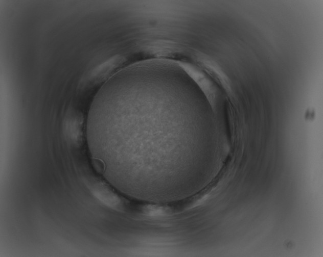 X0000096690073200802051357