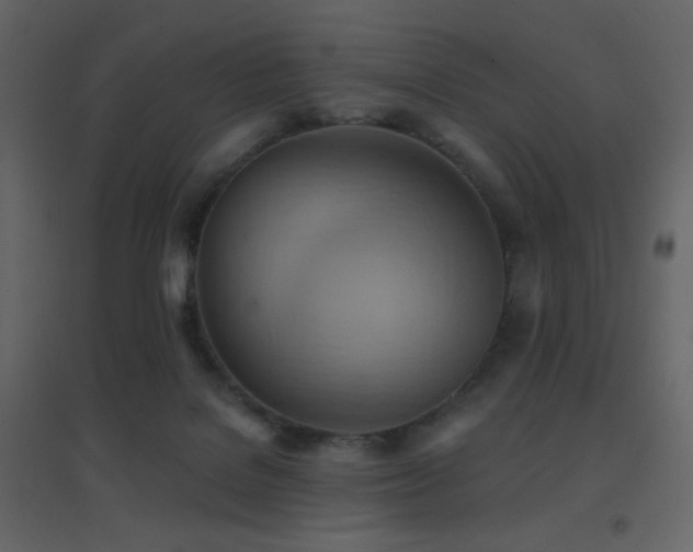 X0000096690076200802051357