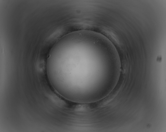 X0000096690077200802051357