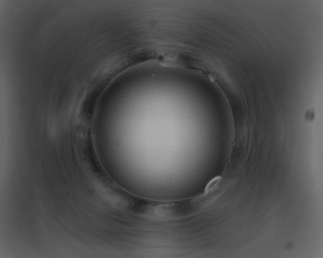 X0000096690078200802051357