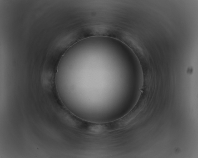 X0000096690079200802051357