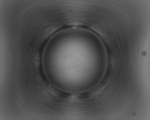 X0000096690080200802051357