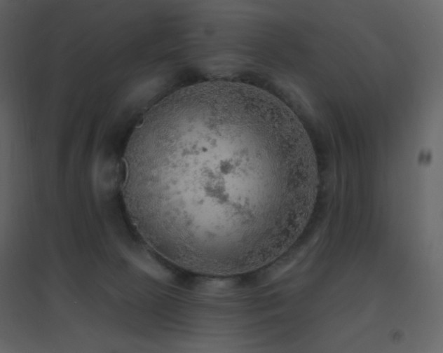 X0000096690081200802051357