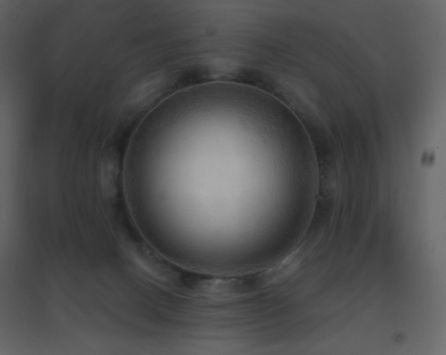 X0000096690082200802051357