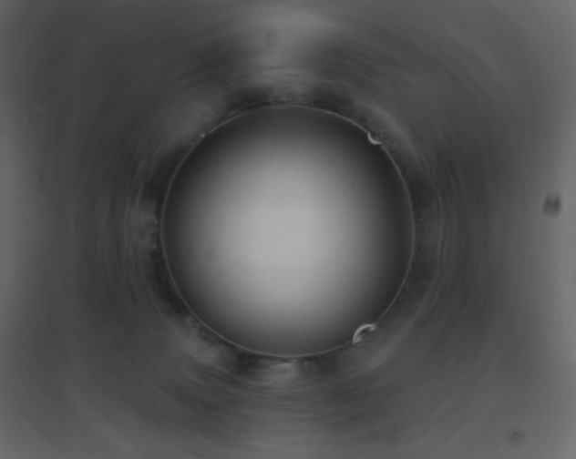 X0000096690083200802051357