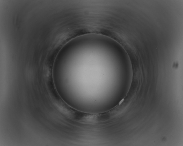 X0000096690084200802051357