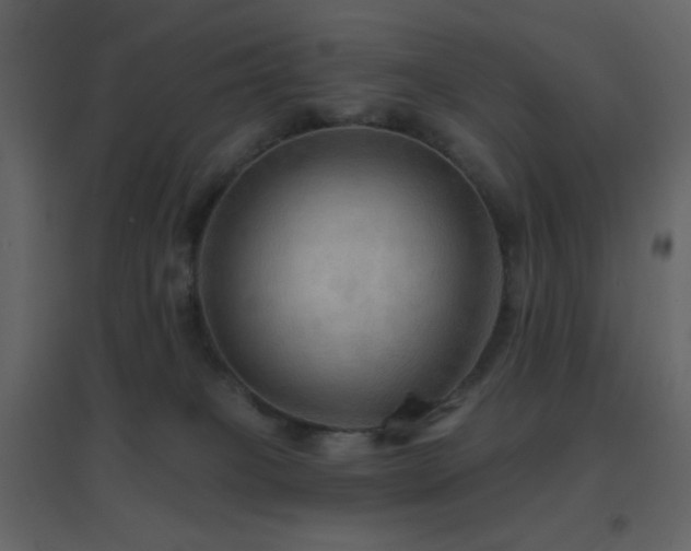 X0000096690085200802051357