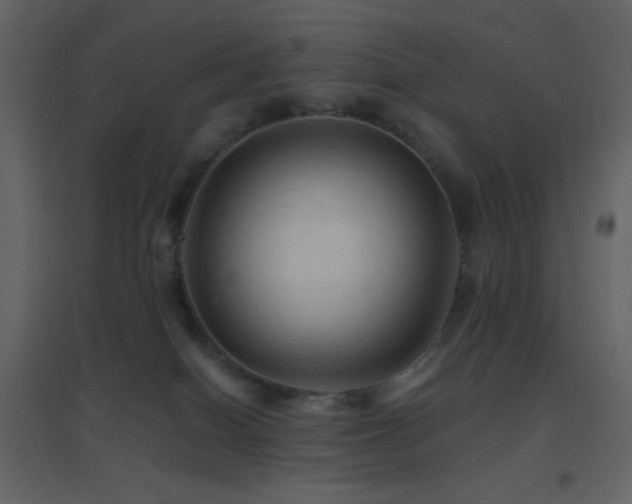 X0000096690086200802051357