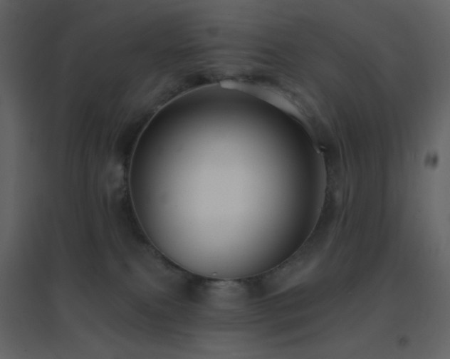 X0000096690087200802051357