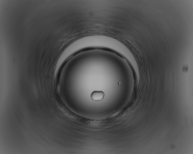 X0000096690088200802051357