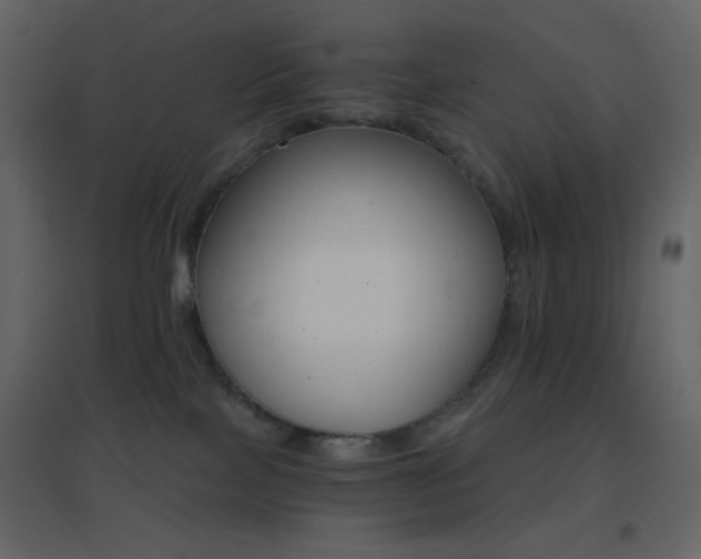 X0000096690089200802051357