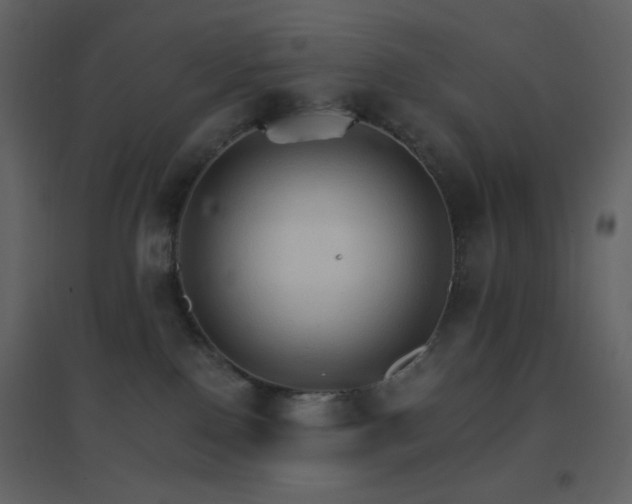 X0000096690090200802051357