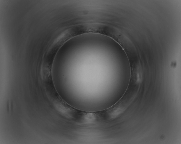 X0000096690091200802051357