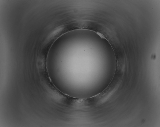 X0000096690092200802051357