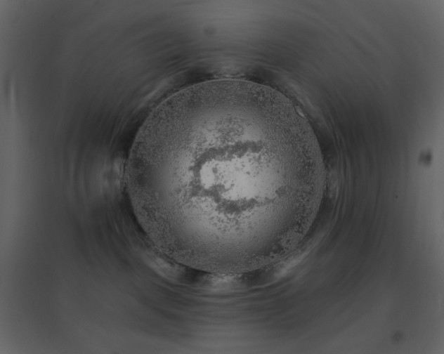 X0000096690093200802051357