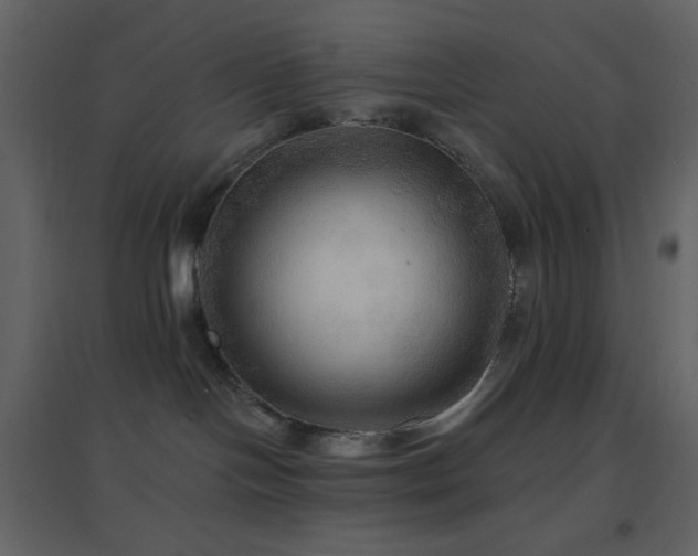 X0000096690094200802051357