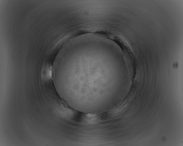 X0000096690095200802051357