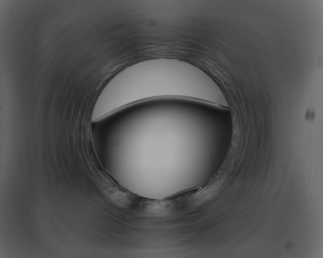 X0000096690096200802051357