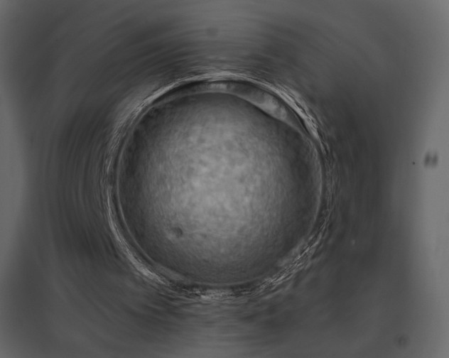 X0000096690097200802051356