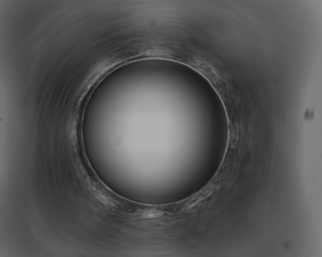 X0000096690098200802051356