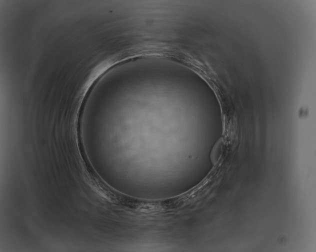 X0000096690099200802051356