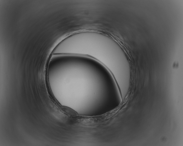 X0000096690100200802051356