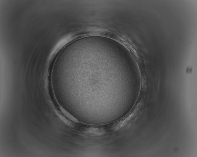 X0000096690101200802051356