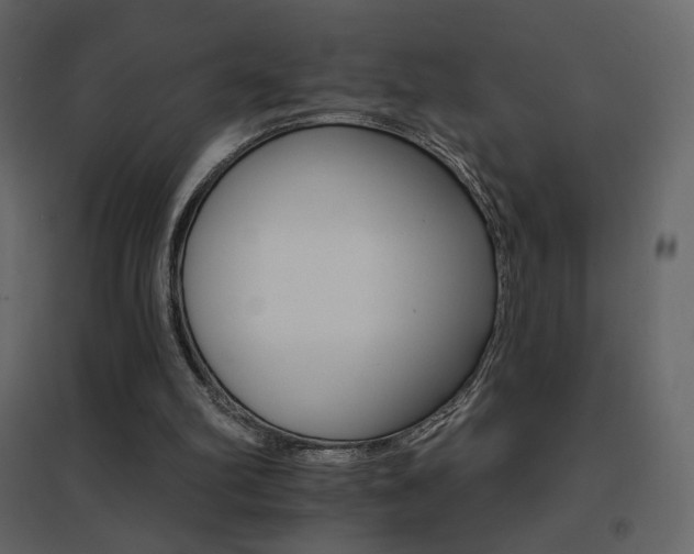 X0000096690102200802051356