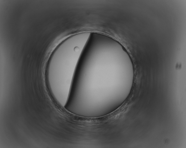 X0000096690103200802051356