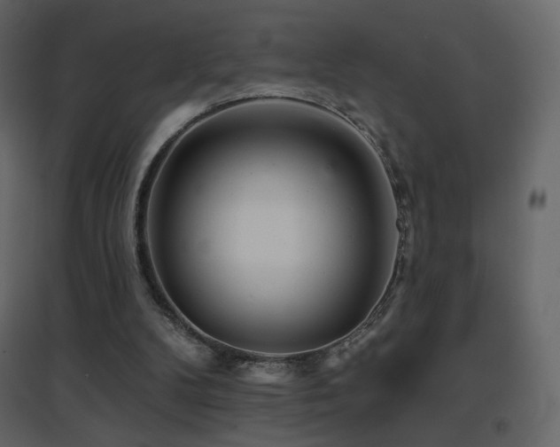 X0000096690104200802051356