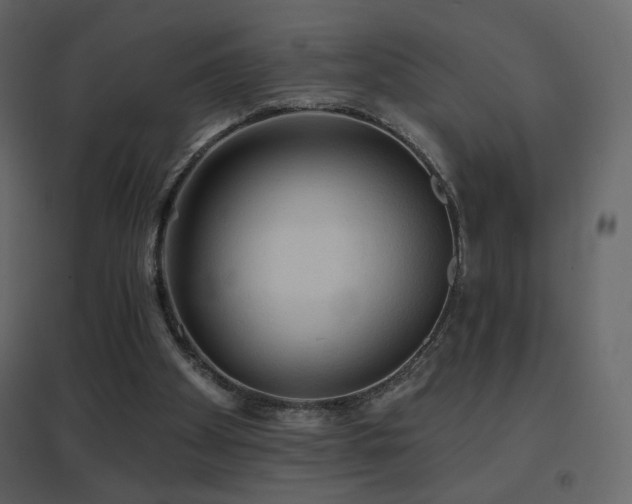 X0000096690105200802051356