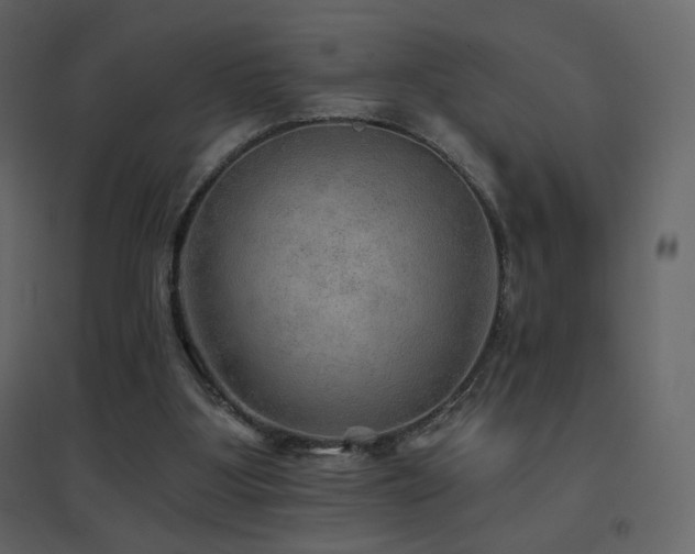 X0000096690107200802051356